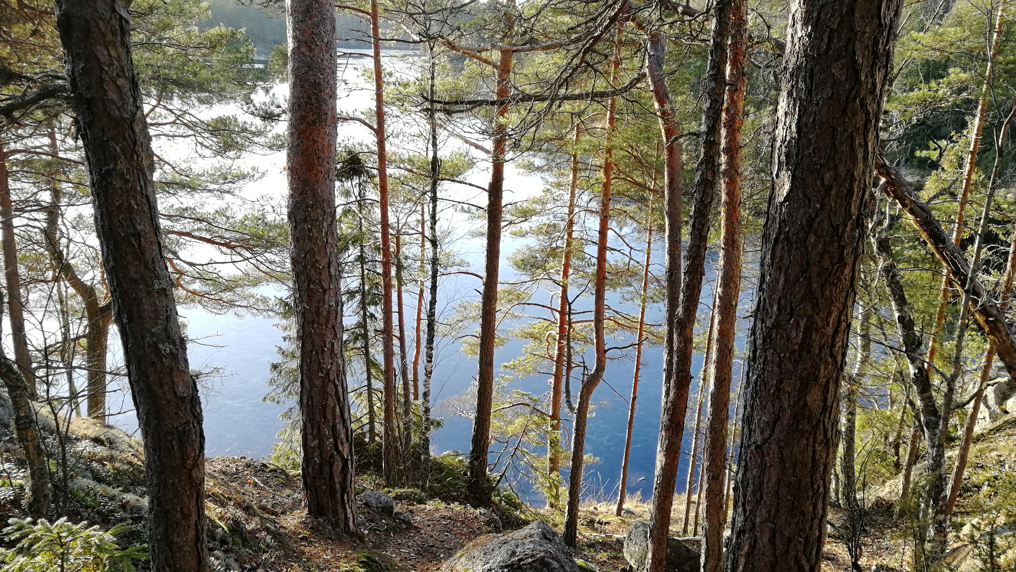 Nature Finland